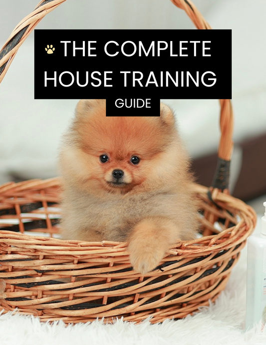 🐾 The Complete House Training Guide