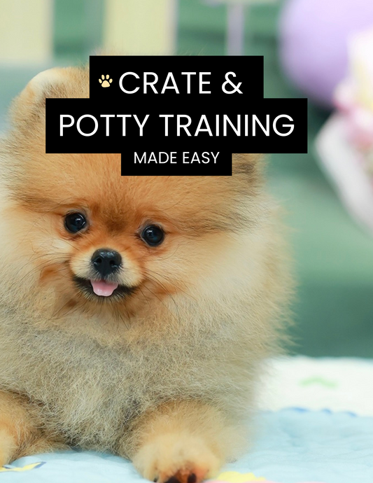 🐾  Crate & Potty Training Made Easy Guide